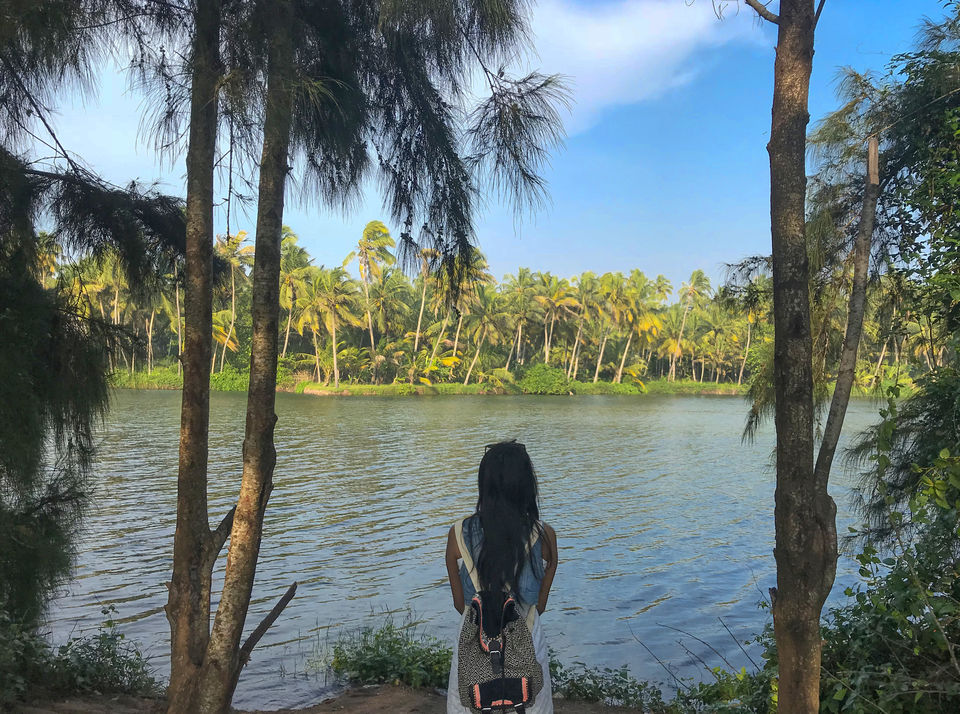 Photo of Varkala Travel Guide - Yoga | Surf | Sunsets & More 13/20 by Loading Miles