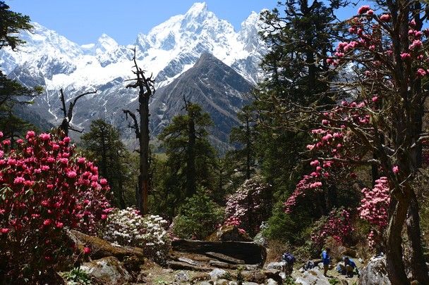 Photo of Anapurna Base Camp Trek- 14days (Himalaya-Nepal) 5/6 by Yamini (Trekasur.com)