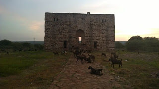 Photo of Gandikota - Belum Caves 12/25 by Chaitra Nayak
