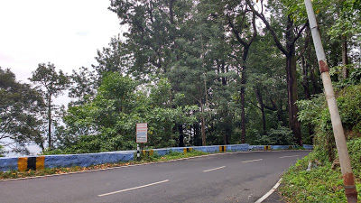 Photo of Jewel of the South - Yercaud 6/17 by Chaitra Nayak