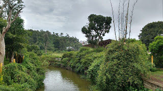 Photo of Jewel of the South - Yercaud 10/17 by Chaitra Nayak