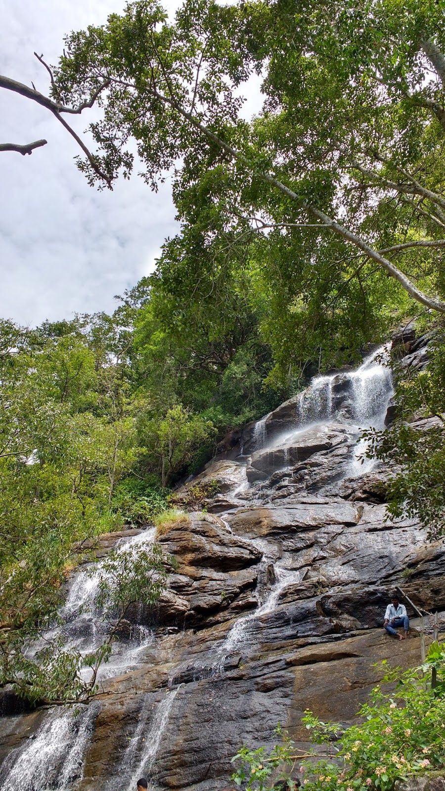 Photo of Jewel of the South - Yercaud 12/17 by Chaitra Nayak