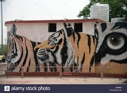 Photo of Ranthambore National Park, Rajasthan by God_colossus