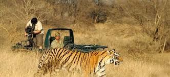 Photo of Ranthambore National Park, Rajasthan by God_colossus