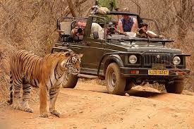 Photo of Ranthambore National Park, Rajasthan by God_colossus