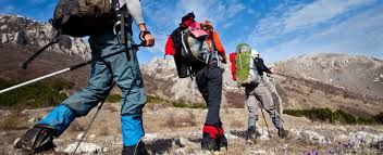 Photo of Bir Billing: Himachal adventure sports destination 11/14 by Wandering Boots