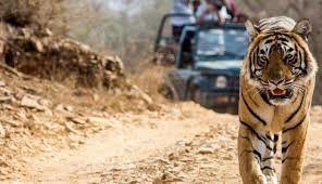 Photo of Jim Corbett National Park: Date with wild life 1/16 by Wandering Boots