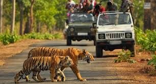 Photo of Jim Corbett National Park: Date with wild life 4/16 by Wandering Boots