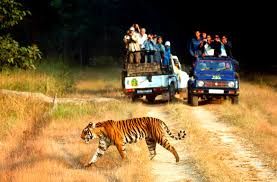 Photo of Jim Corbett National Park: Date with wild life 8/16 by Wandering Boots