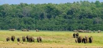 Photo of Jim Corbett National Park: Date with wild life 15/16 by Wandering Boots