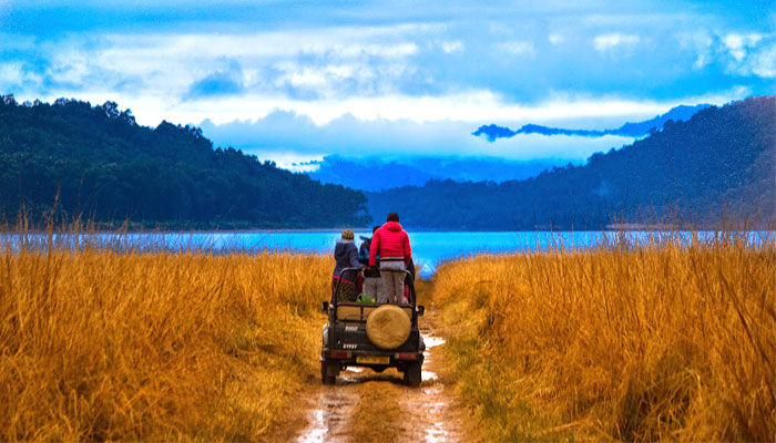 Photo of Jim Corbett National Park: Date with wild life 16/16 by Wandering Boots