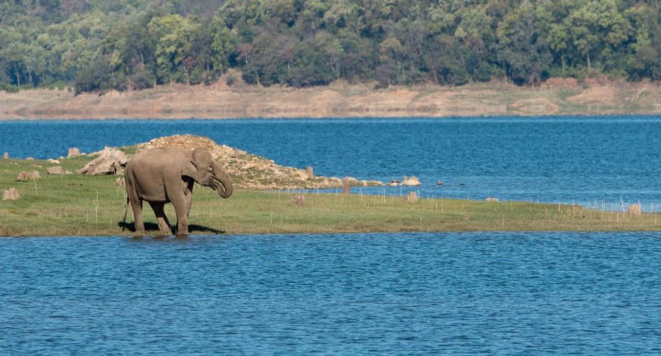 Photo of Jim Corbett National Park: Date with wild life by Wandering Boots