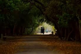Photo of Bharatpur Bird Sanctuary 6/8 by Wandering Boots