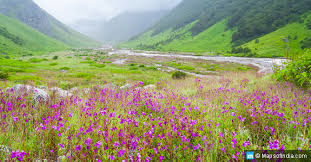 Photo of valley of flowers 2/23 by Wandering Boots