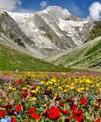 Photo of valley of flowers 3/23 by Wandering Boots
