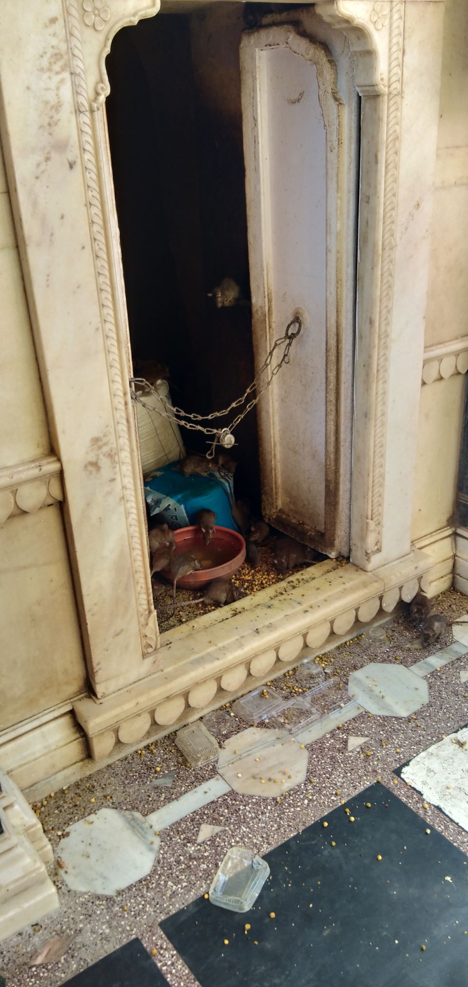 Photo of Karni Mata temple: Home of 20,000 black rats 2/10 by Wandering Boots