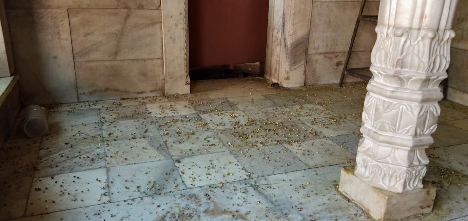 Photo of Karni Mata temple: Home of 20,000 black rats 3/10 by Wandering Boots