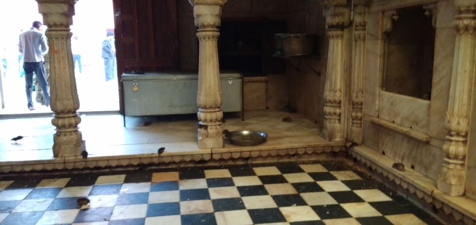 Photo of Karni Mata temple: Home of 20,000 black rats 4/10 by Wandering Boots