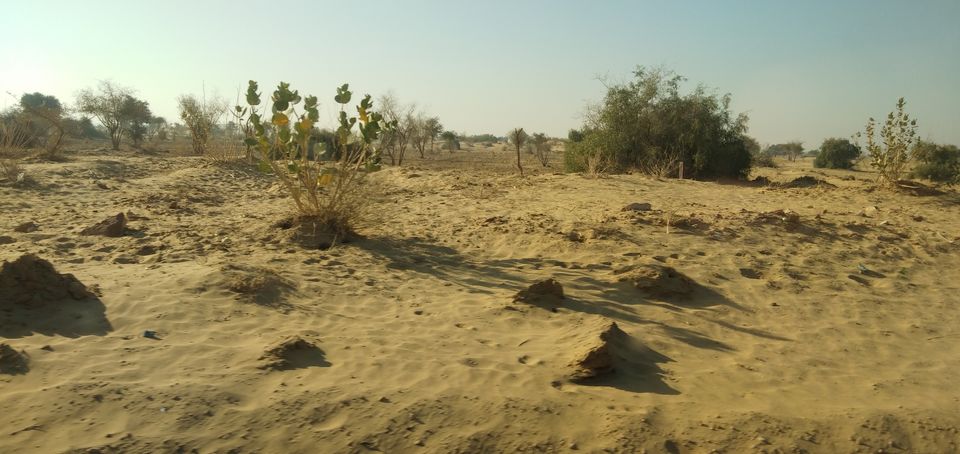 Photo of journey of majestic land: Jaisalmer 4/38 by Wandering Boots