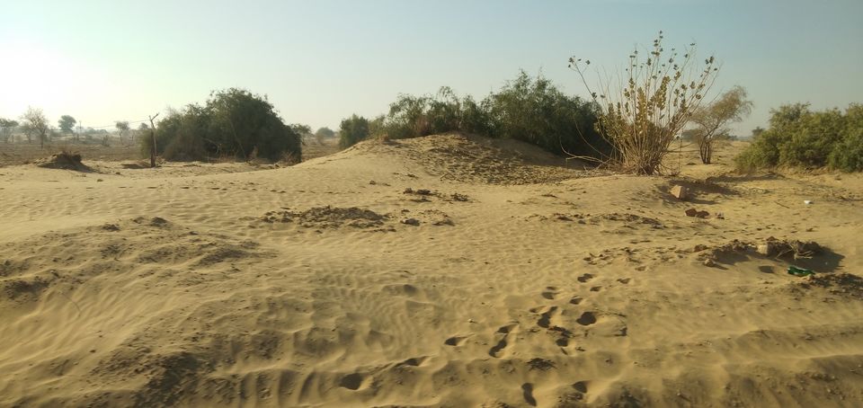 Photo of journey of majestic land: Jaisalmer 5/38 by Wandering Boots