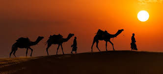 Photo of journey of majestic land: Jaisalmer 8/38 by Wandering Boots