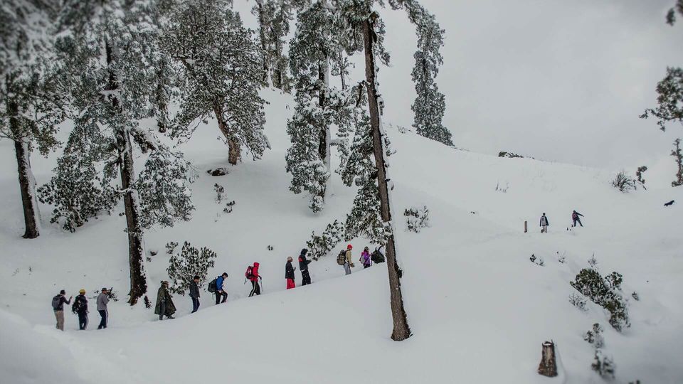 Photo of Get the Best Trekking Experience planning Your Kedarkantha Trek in January and February 1/2 by Jigar Parmar