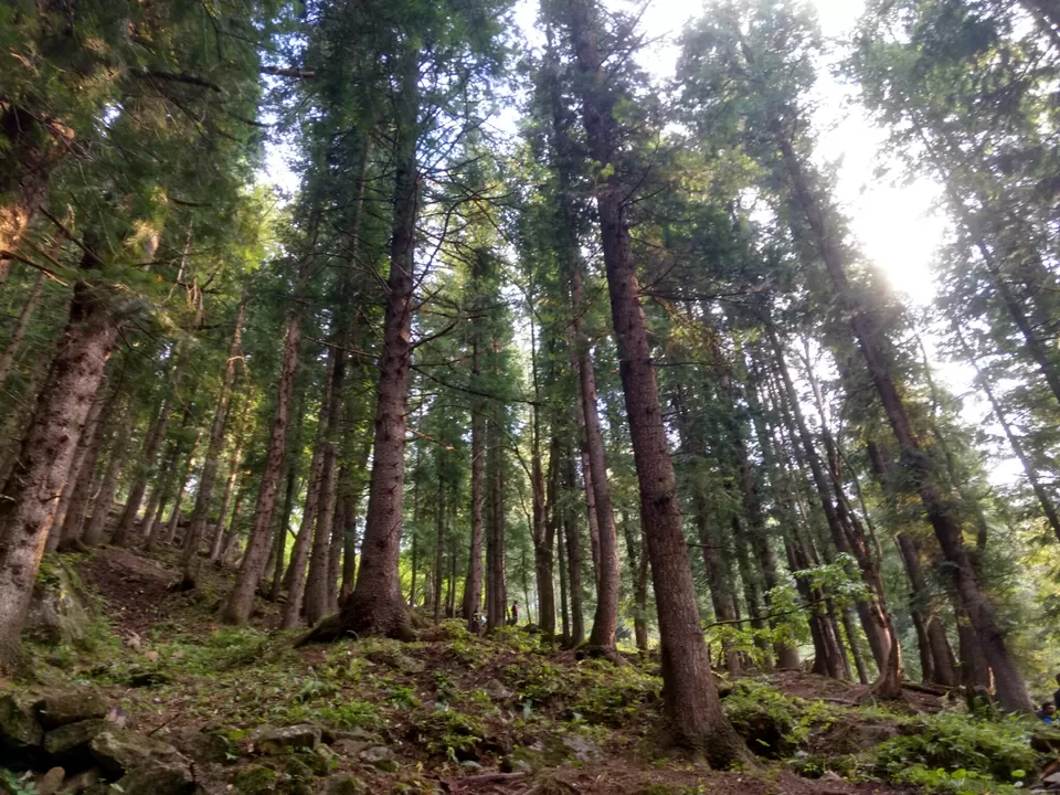 Photo of Parvati Valley- High on Paradise. by Adi Damale