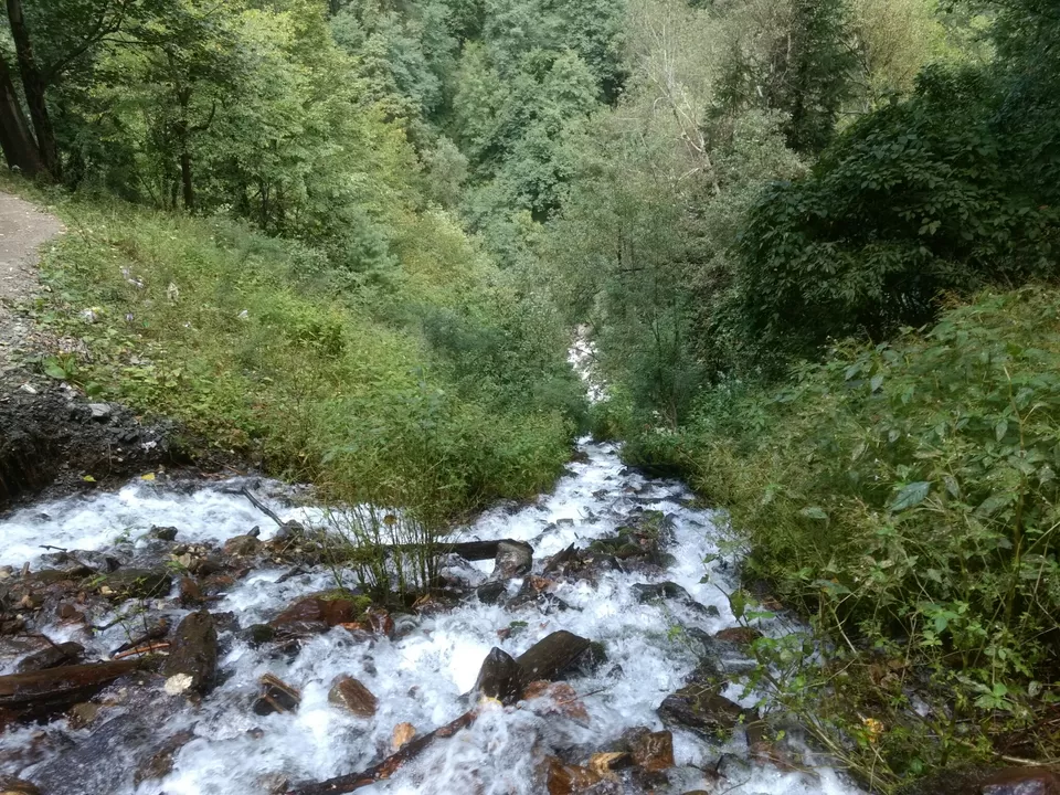 Photo of Parvati Valley- High on Paradise. by Adi Damale