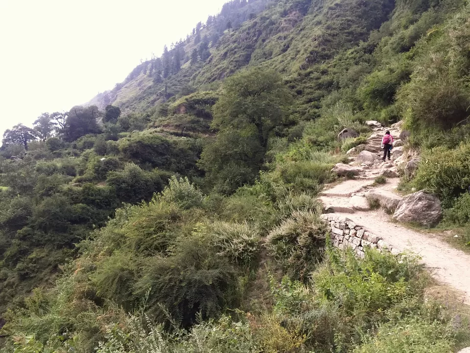 Photo of Parvati Valley- High on Paradise. by Adi Damale