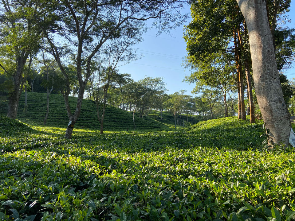 Photo of Exploring Tripura - Trails To Unokoti by Biswapriya Das