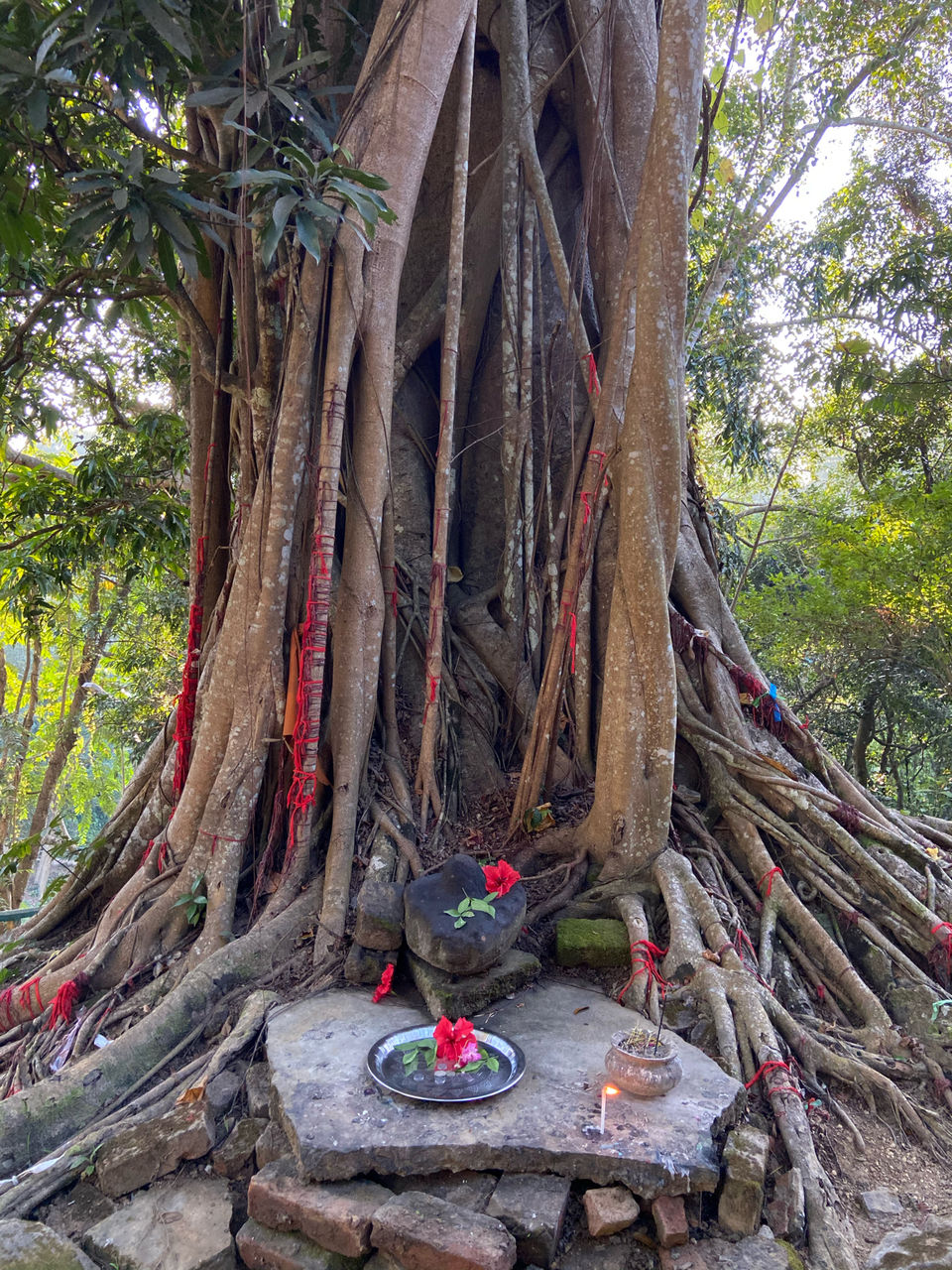 Photo of Exploring Tripura - Trails To Unokoti by Biswapriya Das