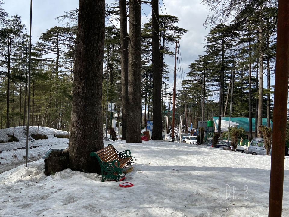 Photo of Patnitop: The Winter Paradise In Jammu by Biswapriya Das