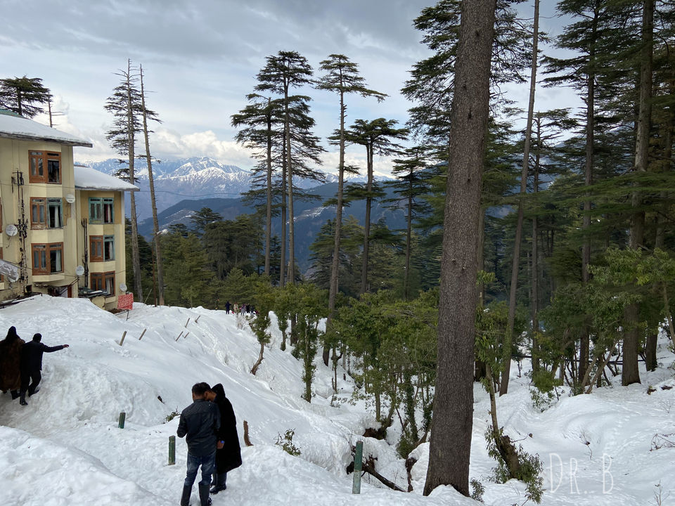 Photo of Patnitop: The Winter Paradise In Jammu by Biswapriya Das