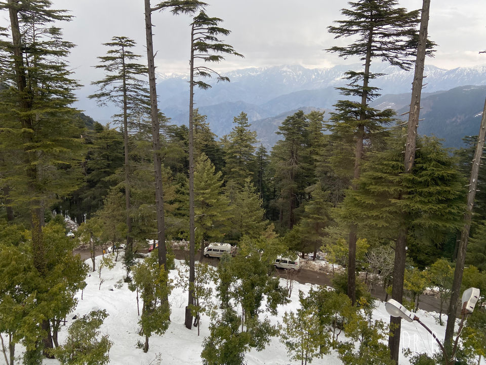 Photo of Patnitop: The Winter Paradise In Jammu by Biswapriya Das