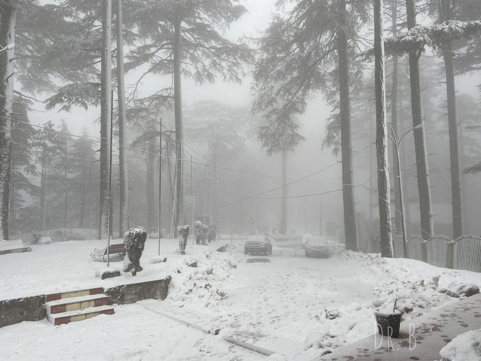Photo of Patnitop: The Winter Paradise In Jammu by Biswapriya Das