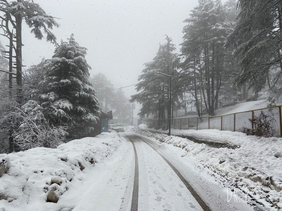 Photo of Patnitop: The Winter Paradise In Jammu by Biswapriya Das