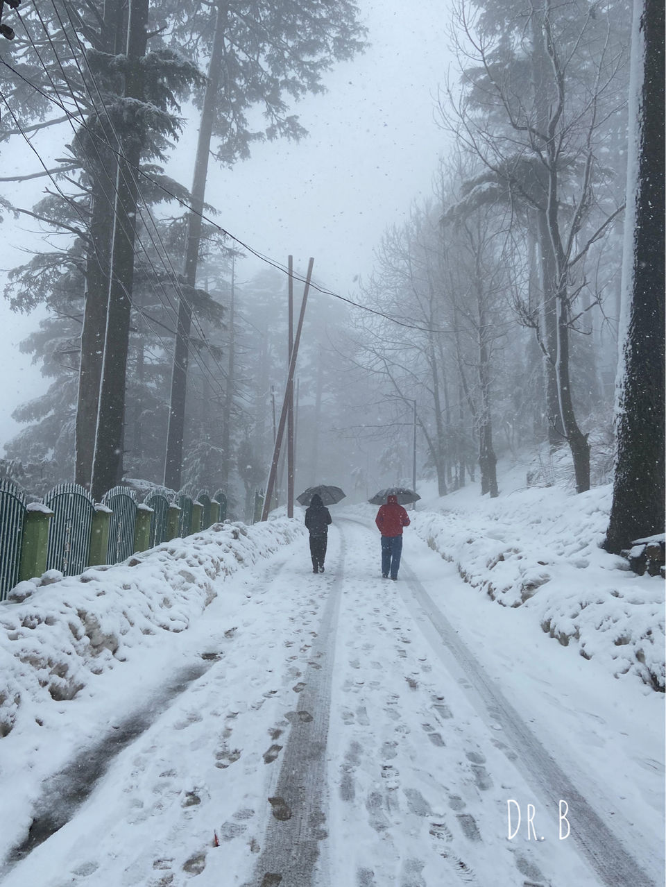 Photo of Patnitop: The Winter Paradise In Jammu by Biswapriya Das