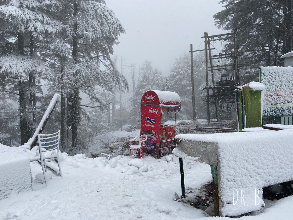 Photo of Patnitop: The Winter Paradise In Jammu by Biswapriya Das