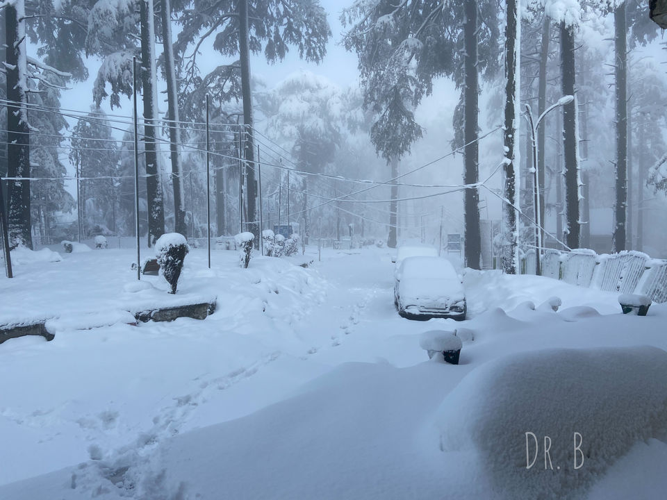 Photo of Patnitop: The Winter Paradise In Jammu by Biswapriya Das
