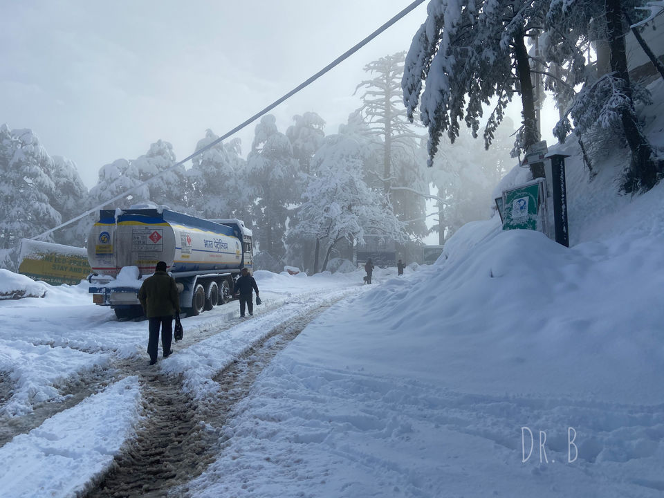 Photo of Patnitop: The Winter Paradise In Jammu by Biswapriya Das