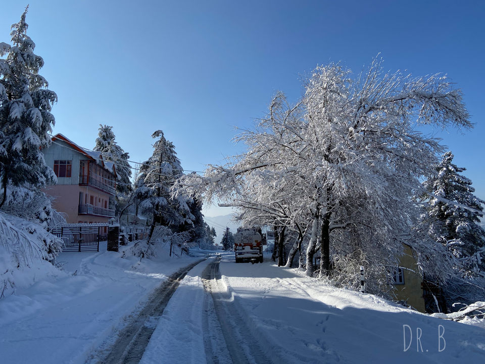 Photo of Patnitop: The Winter Paradise In Jammu by Biswapriya Das