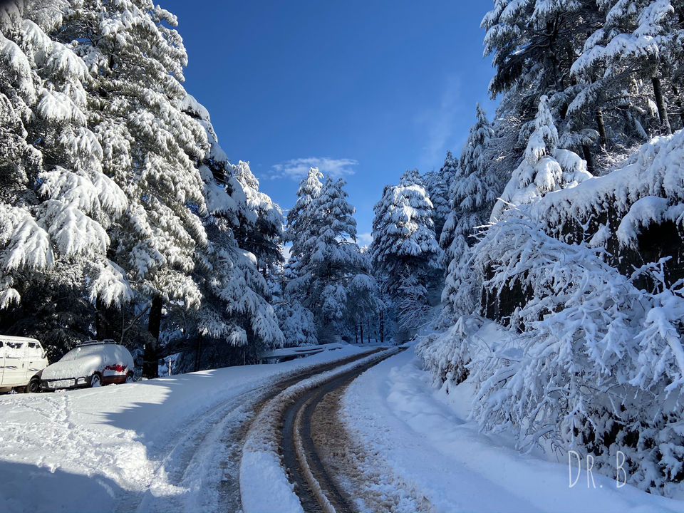 Photo of Patnitop: The Winter Paradise In Jammu by Biswapriya Das