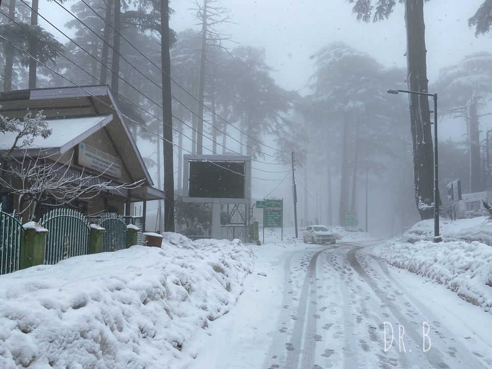 Photo of Patnitop: The Winter Paradise In Jammu by Biswapriya Das