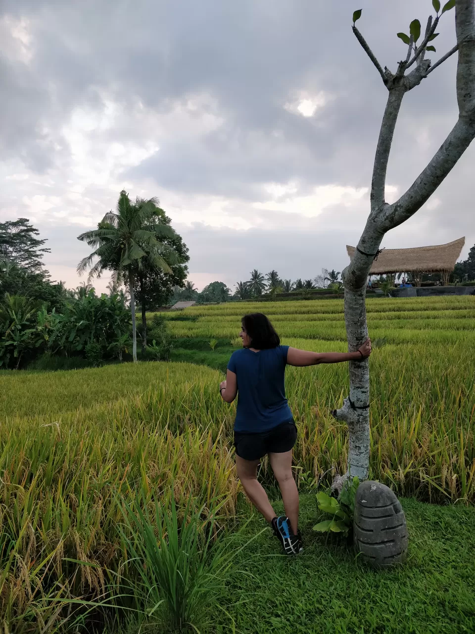 Photo of Campuhan Ridge Walk, Jalan Raya Campuan, Sayan, Gianyar, Bali, Indonesia by Shruthi Herle