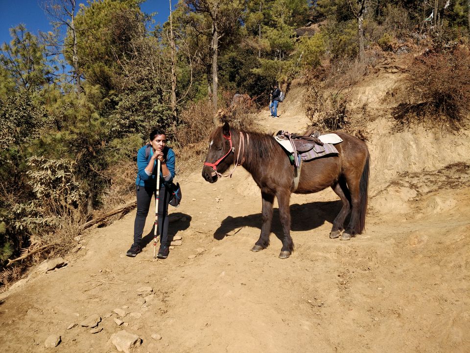 Photo of 6 hour round-trip: Trek to Tiger’s Nest! by Shruthi Herle