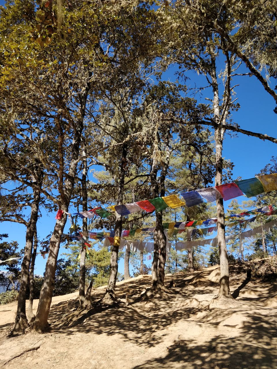 Photo of 6 hour round-trip: Trek to Tiger’s Nest! by Shruthi Herle