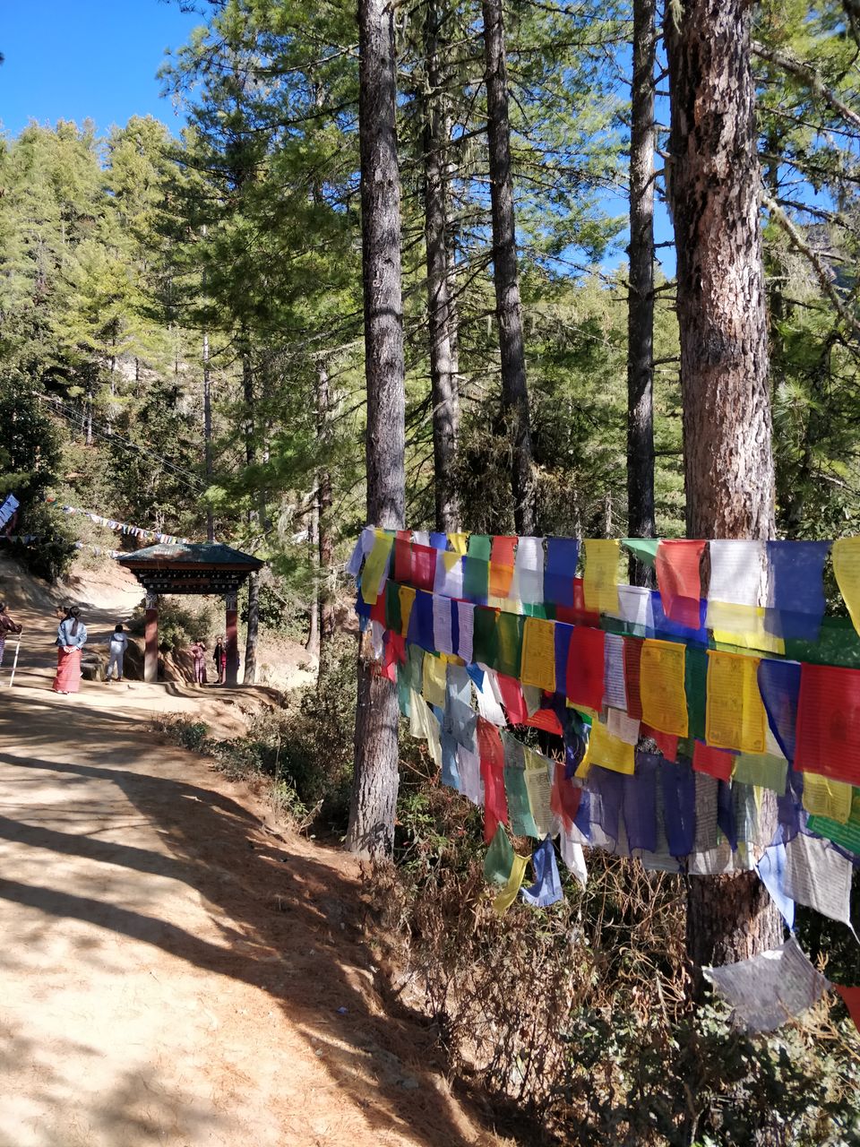 Photo of 6 hour round-trip: Trek to Tiger’s Nest! by Shruthi Herle