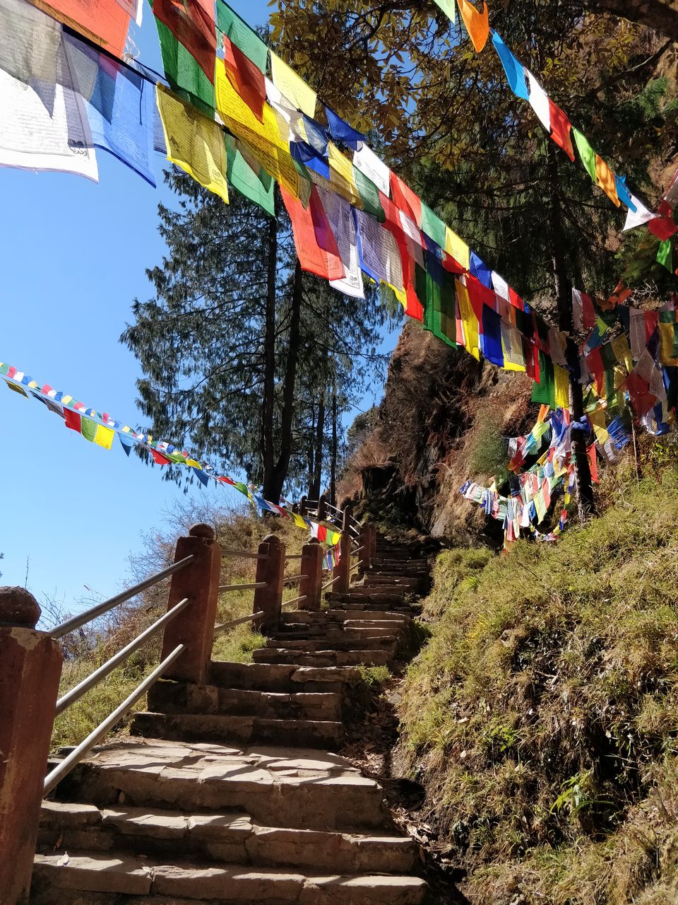 Photo of 6 hour round-trip: Trek to Tiger’s Nest! by Shruthi Herle