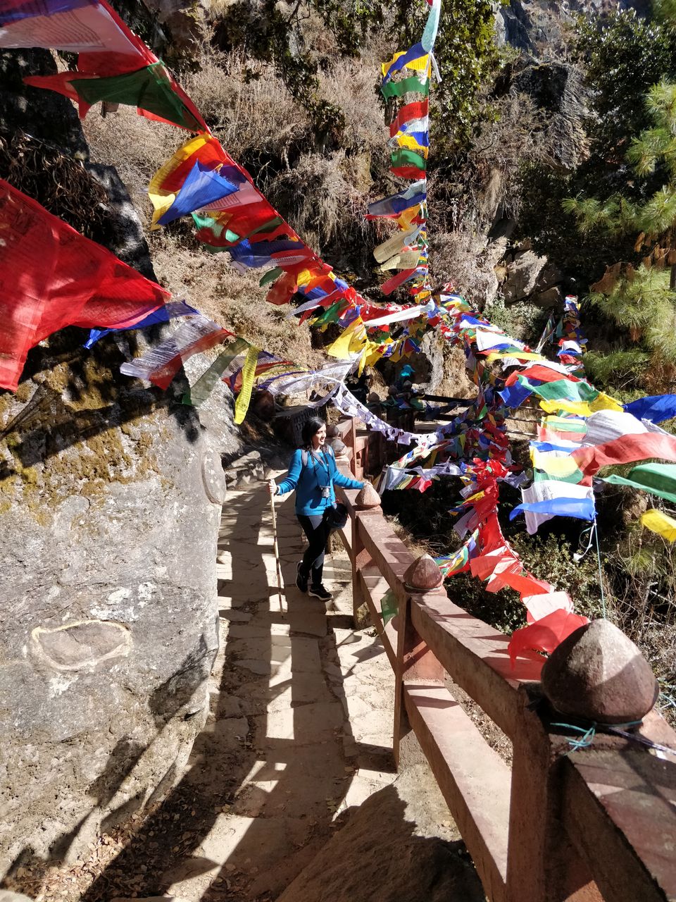 Photo of 6 hour round-trip: Trek to Tiger’s Nest! by Shruthi Herle