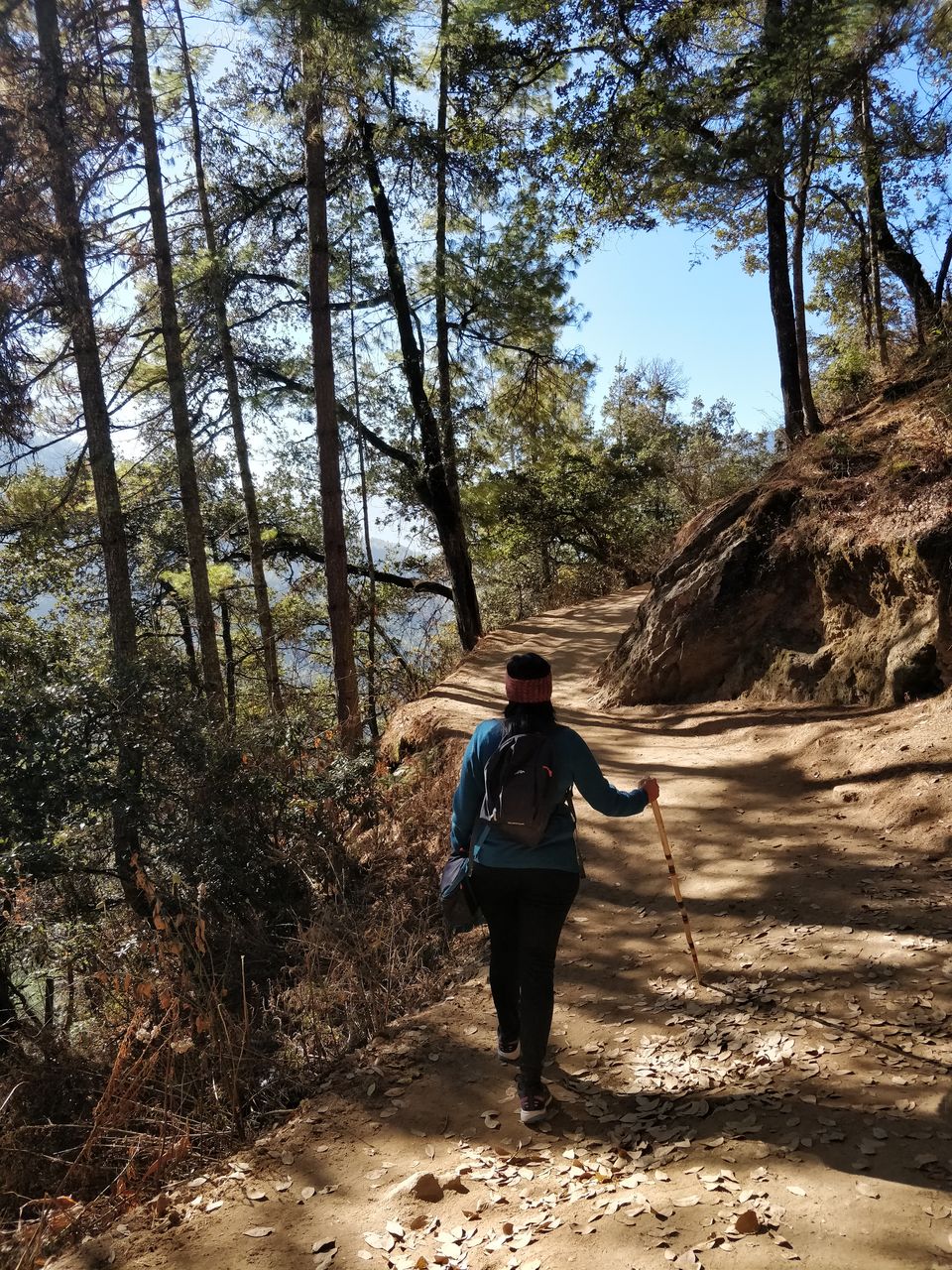 Photo of 6 hour round-trip: Trek to Tiger’s Nest! by Shruthi Herle